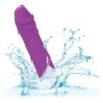 Shane's World Silicone Buddy, , large