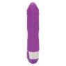 Shane's World Silicone Buddy, , large