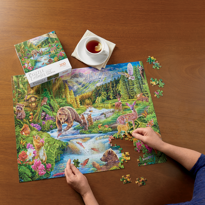 Rose Art 300 XLPiece Puzzle Bwell Now